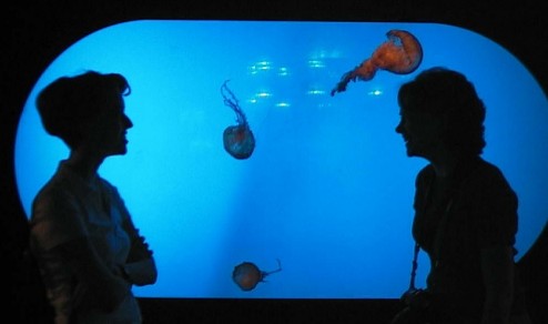 Heather and Kelly in front of the jellyfish tank