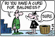 ~ do you have a cure for baldness ~