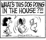 ~ why is a dog in the house ~