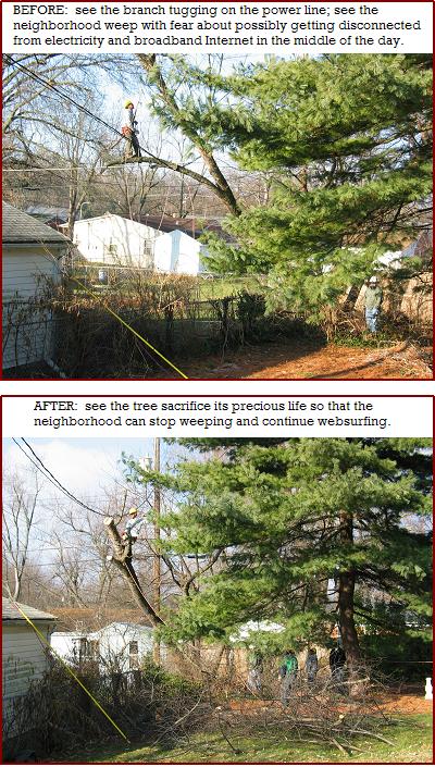 removing tree branches from power lines