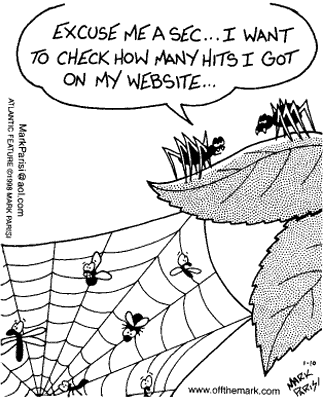 checking the hits on my website